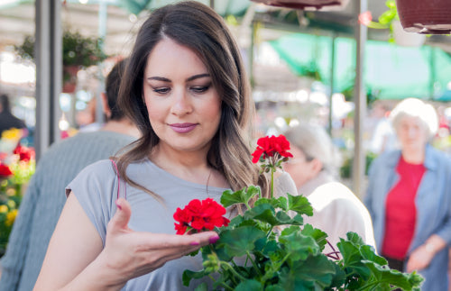 The Rise of Japanese Botanicals in Beauty: Meet Mekabu